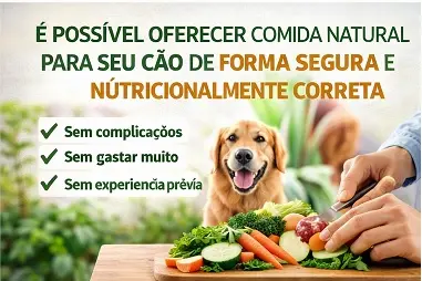 Preparação simples de comida natural para cães
