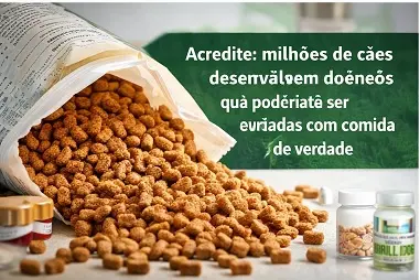 Ração industrializada associada a problemas de saúde em cães
